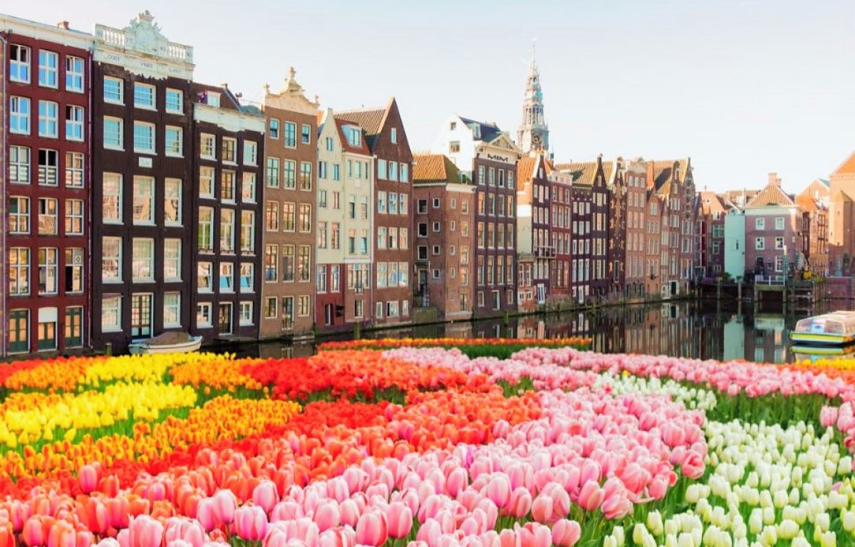 Amsterdam i Haga + Festiwal Tulipanów