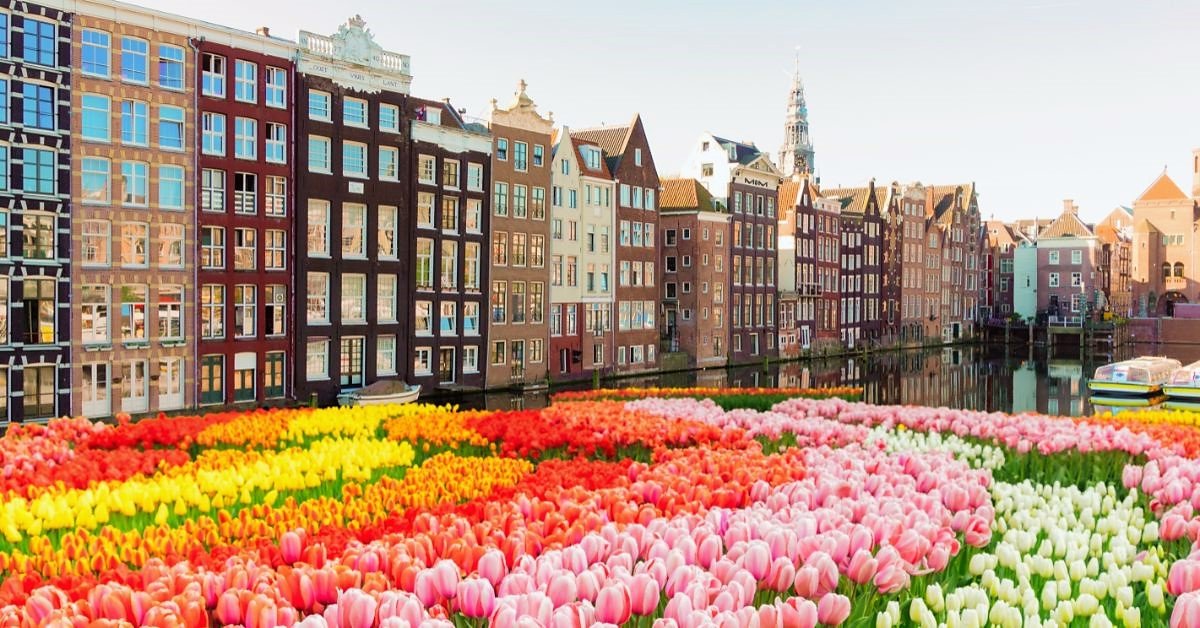 Amsterdam i Haga + Festiwal Tulipanów